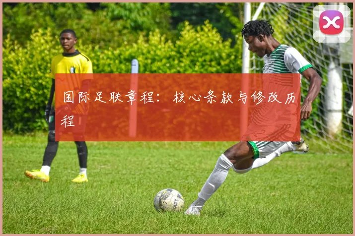 国际足联章程：核心条款与修改历程