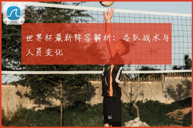 世界杯最新阵容解析：各队战术与人员变化